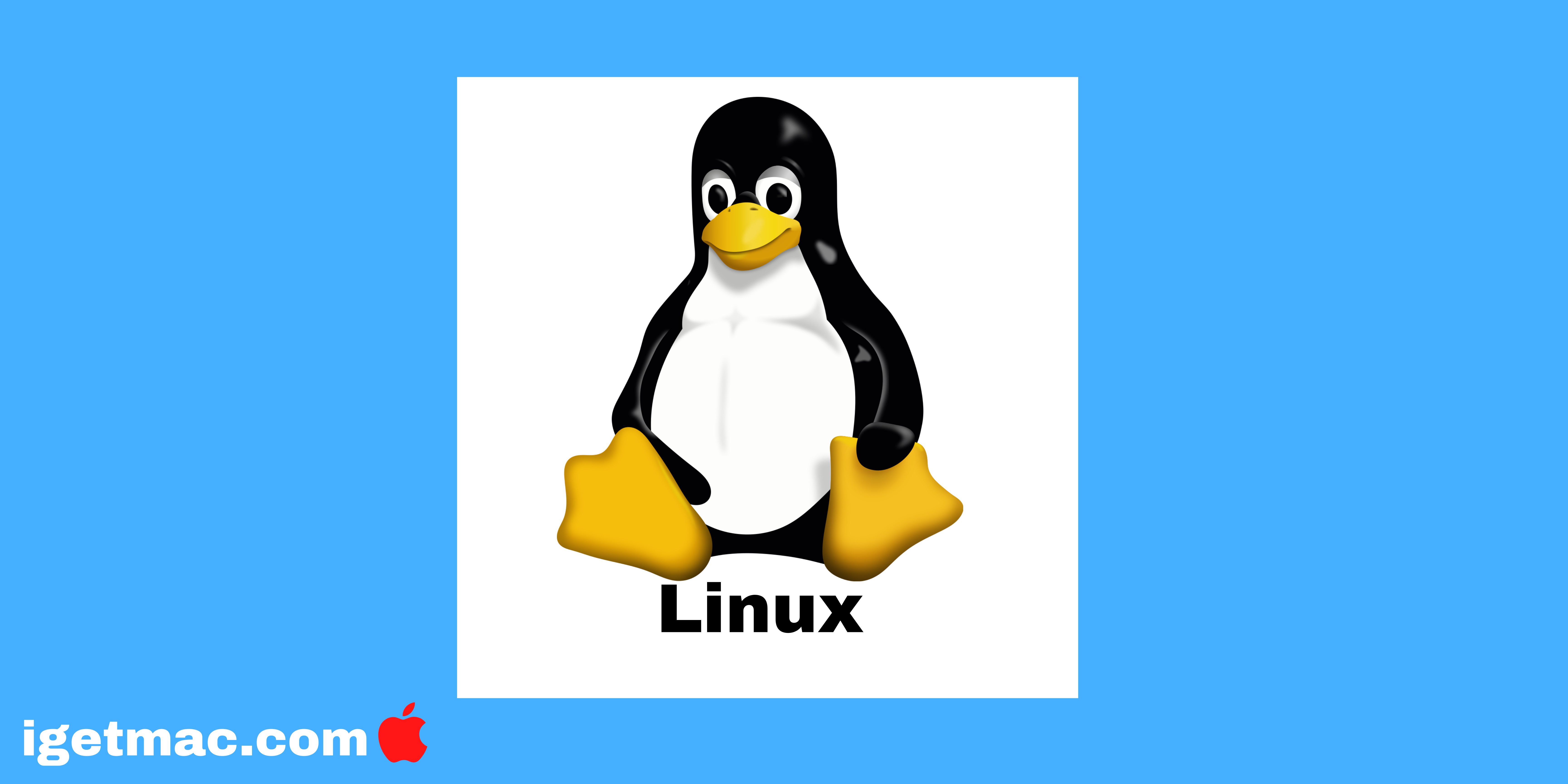 Computer Operating System Requirements of Linux OS